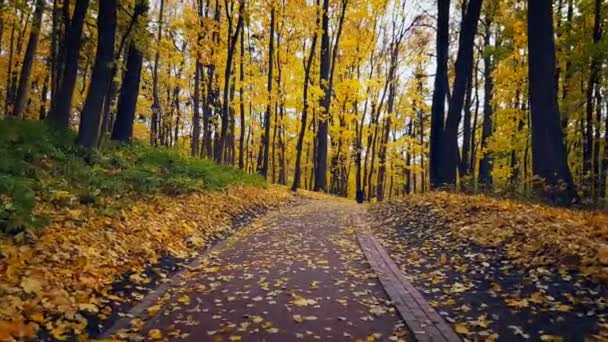 Paysage du parc à l'automne 