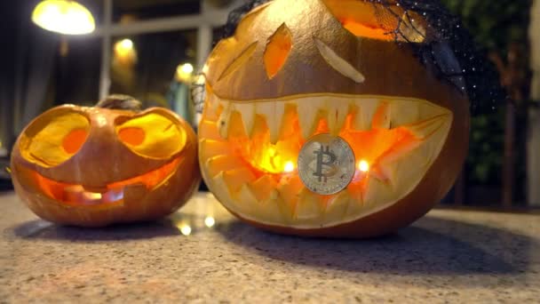 Kürbis hält Bitcoin in den Zähnen — Stockvideo
