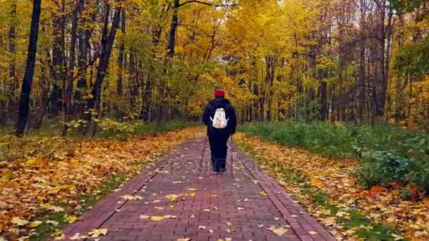 Mature woman walking Nordic Walk in a park — Stock Video