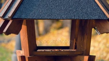 Parkta besleyiciler kuşlara