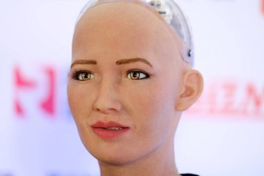 Sophia Skolokovo Teknopark, açık yenilikler Konferansı'nda insansı robot