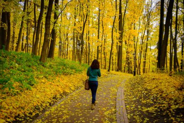 Park peyzaj sonbahar