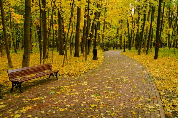 Parklandschap bij herfst — Stockfoto