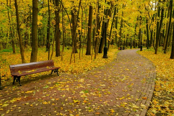 Paesaggio del parco in autunno — Foto Stock