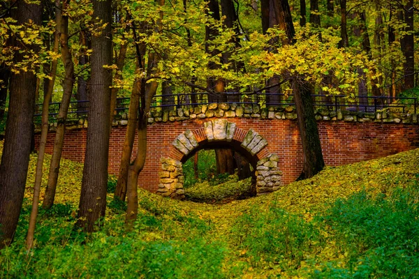 Τοπίο πάρκο στο φθινόπωρο — Φωτογραφία Αρχείου