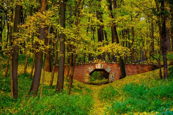 Paisagem do parque no outono — Fotografia de Stock