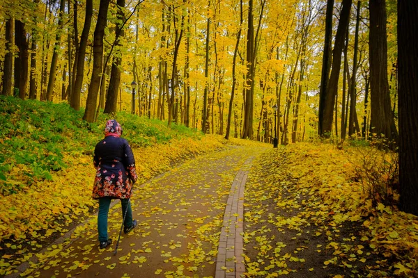 Mature woman walking Nordic Walk in a park — Stock Photo, Image