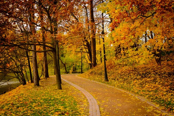 Parque de paisaje en otoño — Foto de Stock