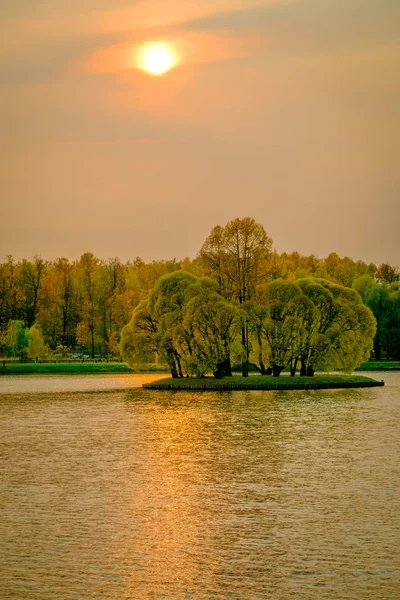 湖中有树的海岛 — 图库照片