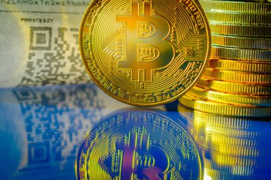 Bitcoin altın sikke ve kağıt giriş