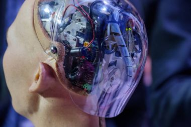 Sophia Skolokovo Teknopark, açık yenilikler Konferansı'nda insansı robot