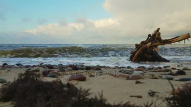 Baltık Denizi sessizce sıçramasına