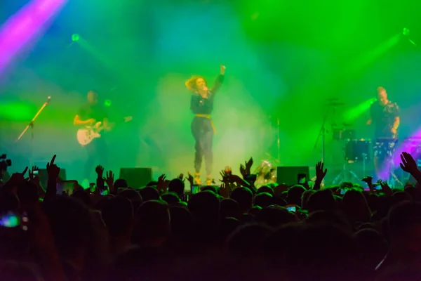 Gruppo esibendosi al concerto dal vivo — Foto Stock