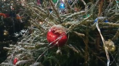 Noel ağacı açık piyasada