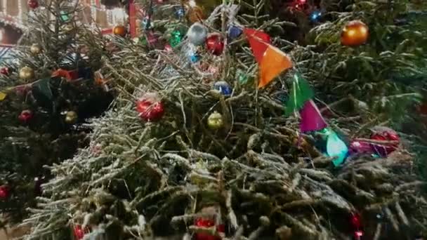屋外の市場でクリスマス ツリー — ストック動画