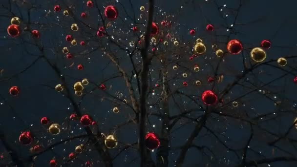 Kerstballen op de bomen — Stockvideo