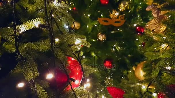 A kültéri piaci karácsonyfa — Stock videók