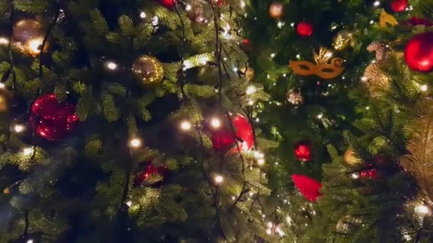 Árvore de Natal no mercado exterior — Vídeo de Stock