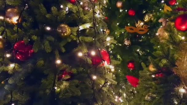 Kerstboom in de openlucht markt — Stockvideo