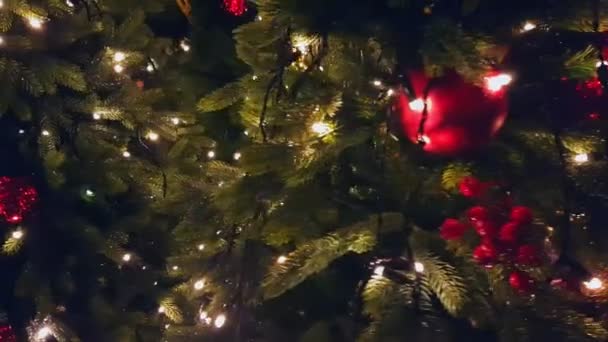 Kerstboom in de openlucht markt — Stockvideo