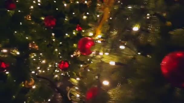 Kerstboom in de openlucht markt — Stockvideo