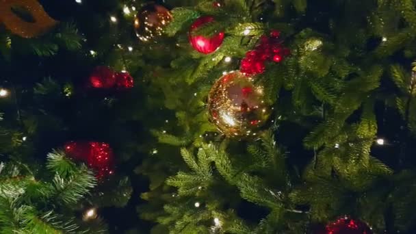 Kerstboom in de openlucht markt — Stockvideo