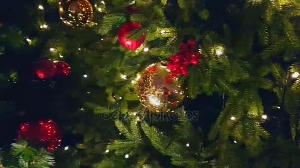 Kerstboom in de openlucht markt — Stockvideo