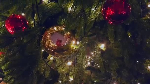 Kerstboom in de openlucht markt — Stockvideo