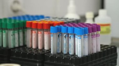 Hemşire bir tüp kan testi ile alır