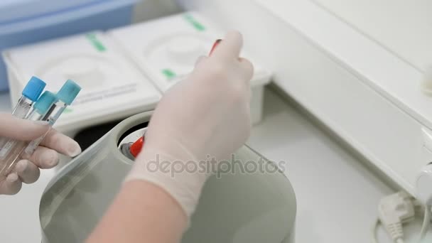 Investigador coloca tubos de ensayo con sangre — Vídeo de stock