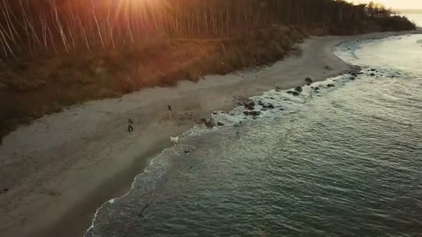 Aerial view of Baltic sea coast — Stock Video