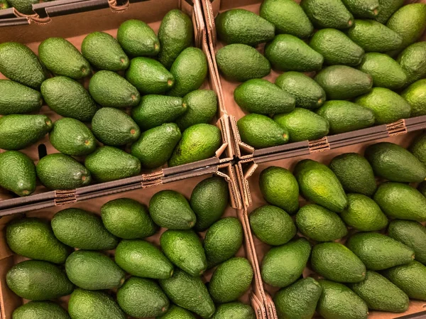 Avocado for sale at the supermarket — Stock Photo, Image