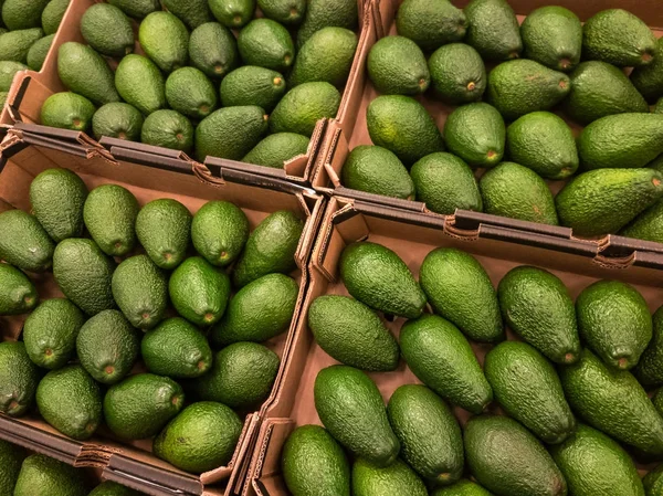 Avocado for sale at the supermarket — Stock Photo, Image