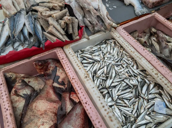 Ryby na prodej na trhu — Stock fotografie