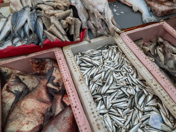 Ryb przeznaczonych do sprzedaży na rynku — Zdjęcie stockowe