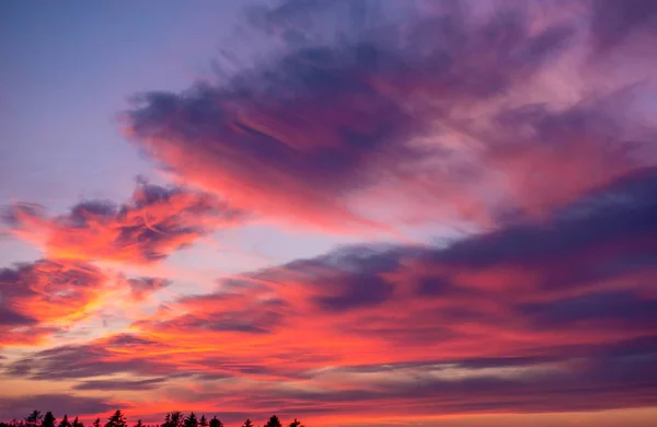 Roze wolken bij een zonsondergang — Stockfoto