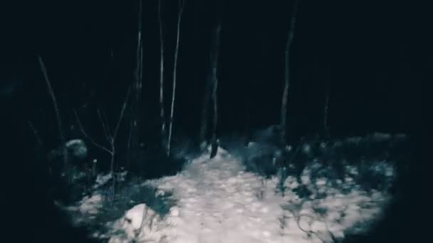 POV victime s'enfuit du maniaque dans les bois 