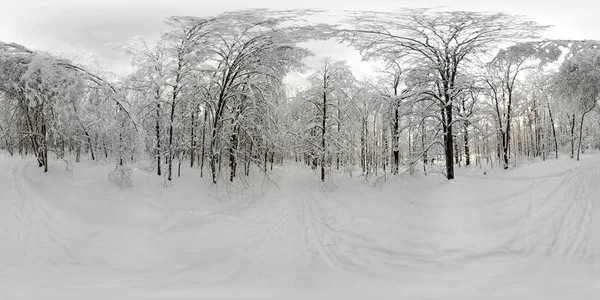 360 Vr panorama van bos in de sneeuw in de winter — Stockfoto