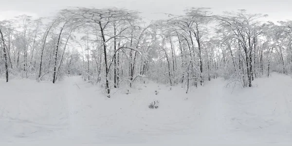 Panorama 360 Vr lesa na sněhu v zimě — Stock fotografie