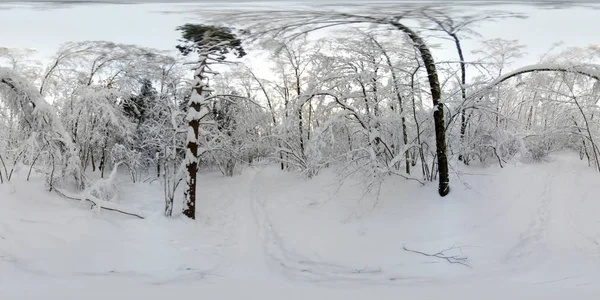 360 VR panorama de bosque en la nieve en invierno — Foto de Stock