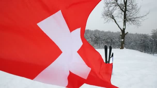 İsviçre rüzgarda sallayarak ulusal bayrak — Stok video