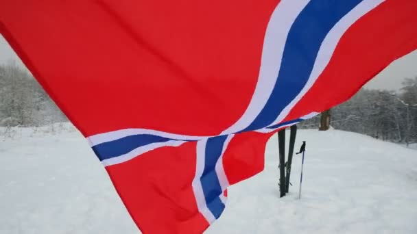 Nationale vlag van Noorwegen wuiven in de wind — Stockvideo