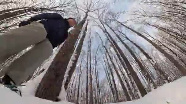 Man skiing in a winter forest. — Stock Video