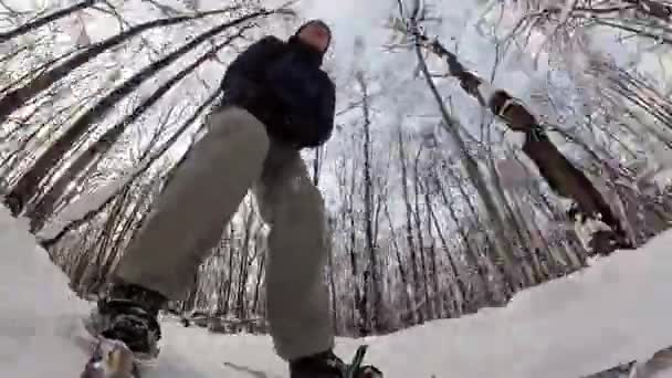 Man skiing in a winter forest. — Stock Video