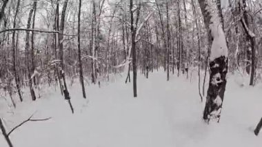 Adam bir kış ormanda Kayak.