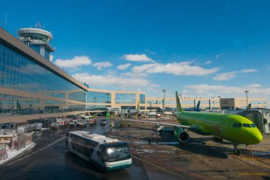 Domodedovo Havaalanı manzara güneşli gün zaman