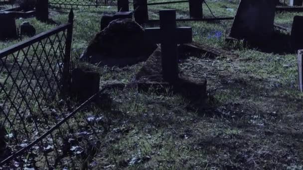 Camminando di notte al vecchio cimitero — Video Stock