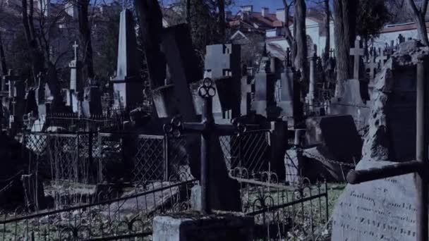 古い墓地で夜歩く — ストック動画