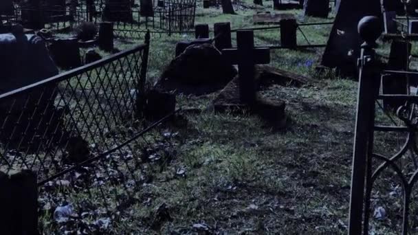 Marcher la nuit au vieux cimetière — Video