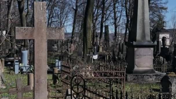 Spaziergang auf dem alten Friedhof — Stockvideo